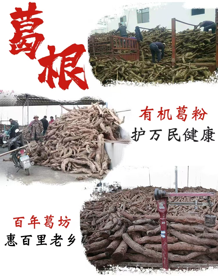 1754291637613249.jpg 收葛根圖.jpg