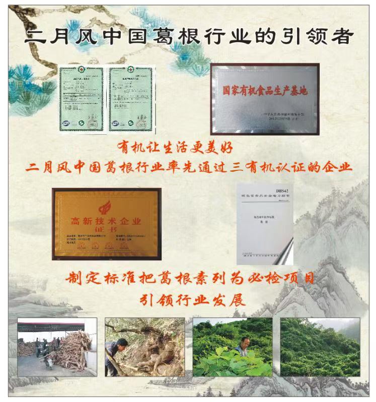 二月風(fēng)中國葛根行業(yè)的引領(lǐng)者_(dá)副本.jpg