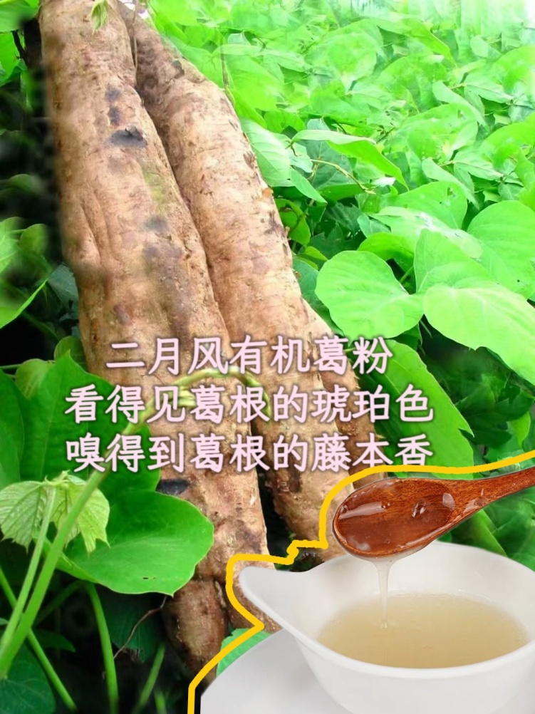 二月風(fēng)有機葛粉，看得見葛根的琥珀色，嗅得到葛根的藤本香_副本.jpg