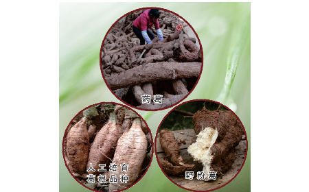 買葛粉是買野生的好？還是野生有機的好？