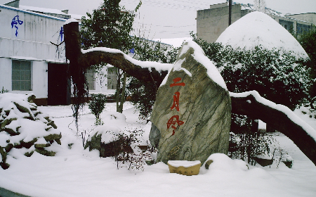 二月風(fēng)致老友：一碗葛根粉的牽掛，農(nóng)博會(huì)上的重逢之約二月風(fēng)盼老友：農(nóng)博會(huì)上，再續(xù)葛粉情緣