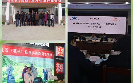 春季養(yǎng)生選好葛，二月風(fēng)以非遺匠心，定義行業(yè)品質(zhì)標(biāo)桿